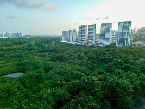 Quels sont les avantages des systèmes de chauffage géothermique pour les bâtiments commerciaux ?