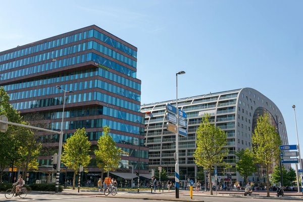 Chanvre pour chien : des solutions naturelles pour son bien-être