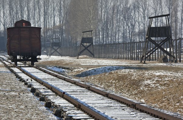 Top services d'extermination des rongeurs à lyon pour votre sécurité